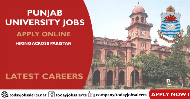 Punjab University Jobs