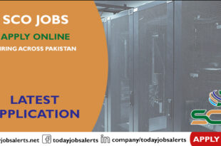 SCO Jobs