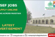 SEF Jobs