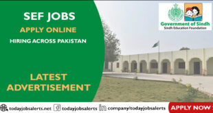 SEF Jobs