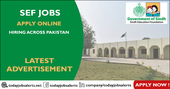 SEF Jobs