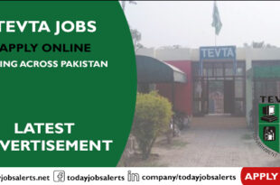 TEVTA Jobs