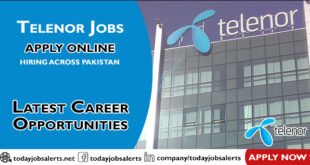 Telenor Jobs