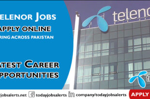 Telenor Jobs