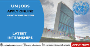 UN Jobs