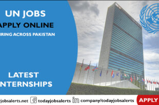 UN Jobs