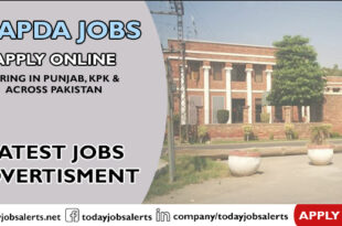 Wapda Jobs