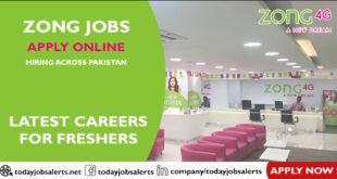 Zong Jobs
