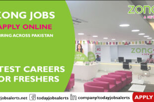 Zong Jobs