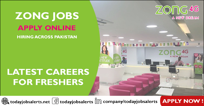 Zong Jobs
