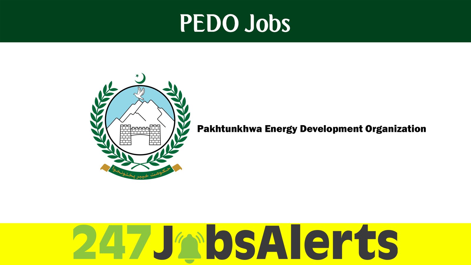 PEDO Jobs